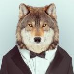 Sr.Wolf_