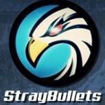 StrayBullets